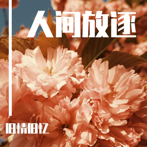 上海外企女被黑人老外高清观看视频
